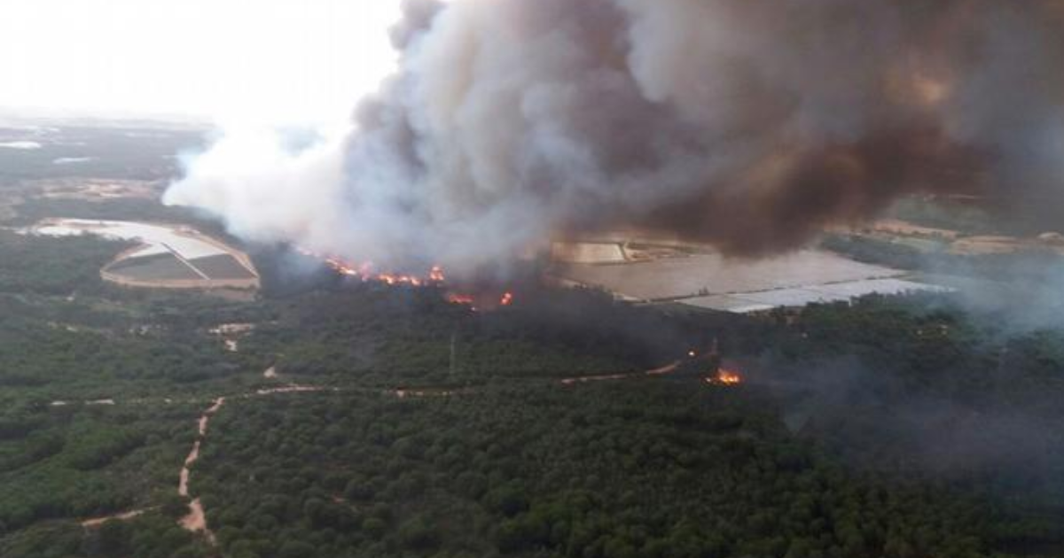 Wildfire in southern Spain forces evacuation of 3,000